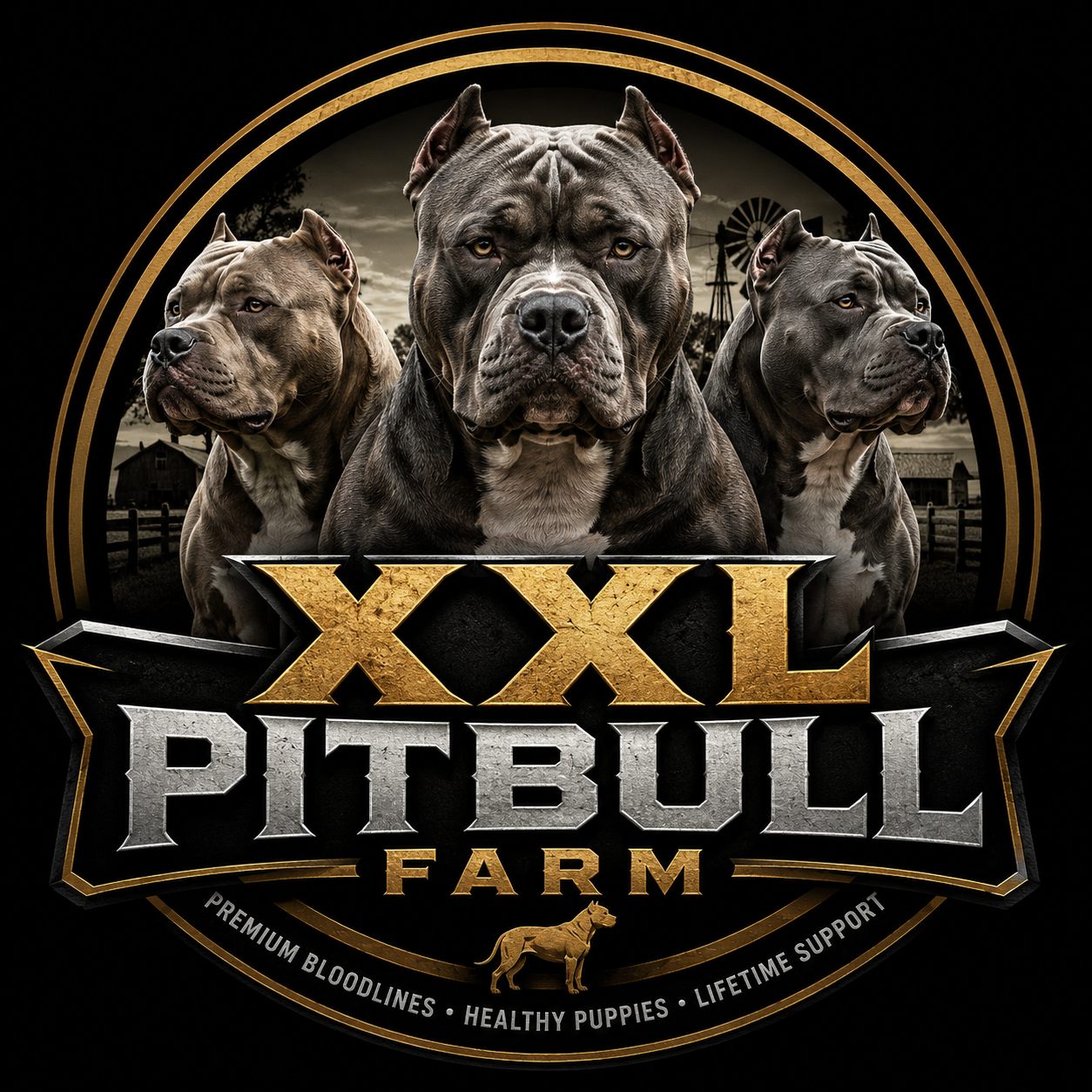 xxlpitbullfarm